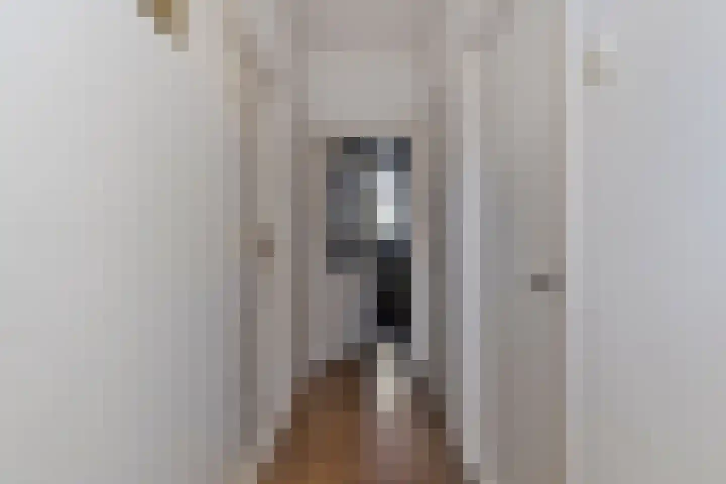 Kerkstraat 10 Hoedekenskerke thumbnail 9