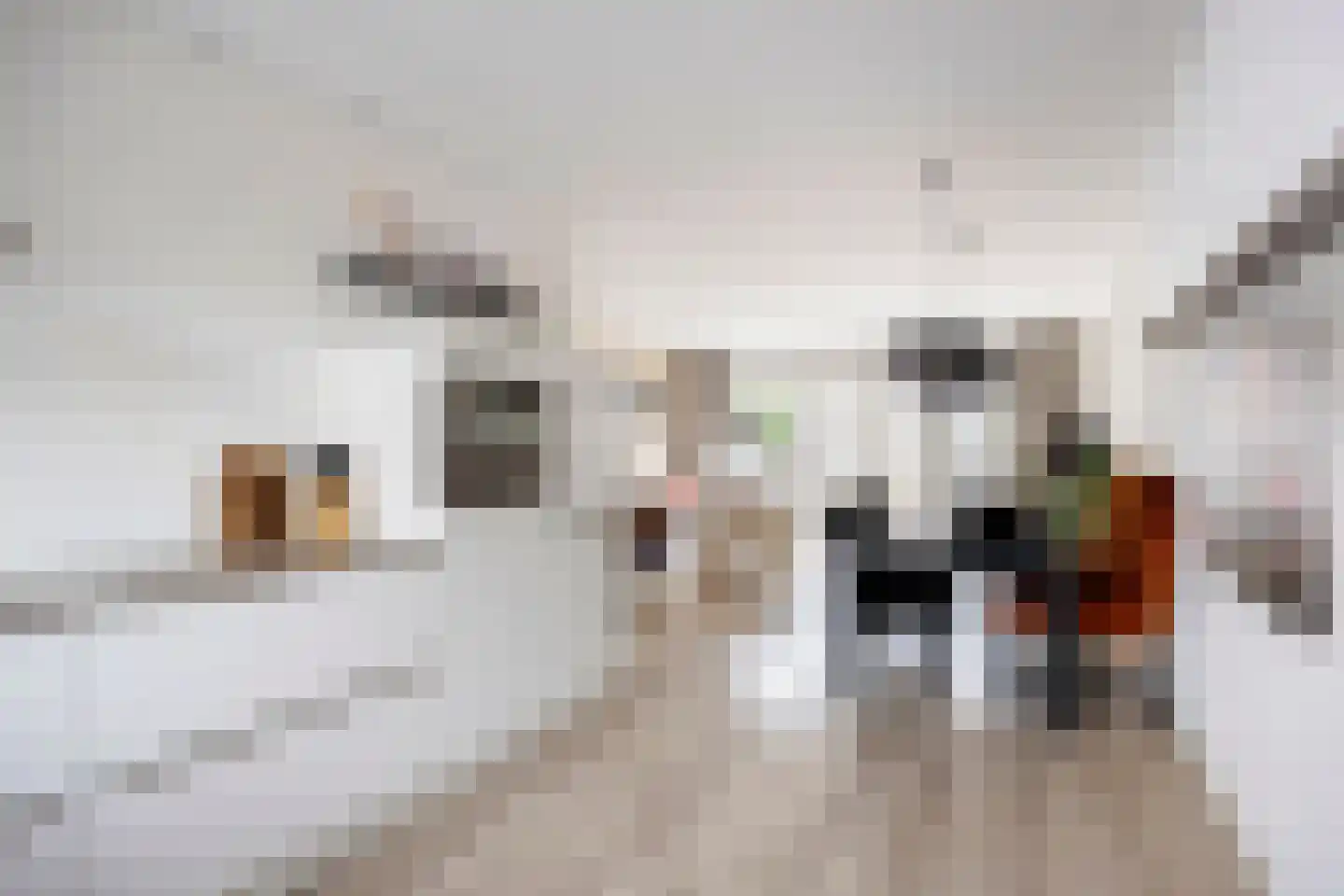 Kerkstraat 10 Landsmeer thumbnail 21
