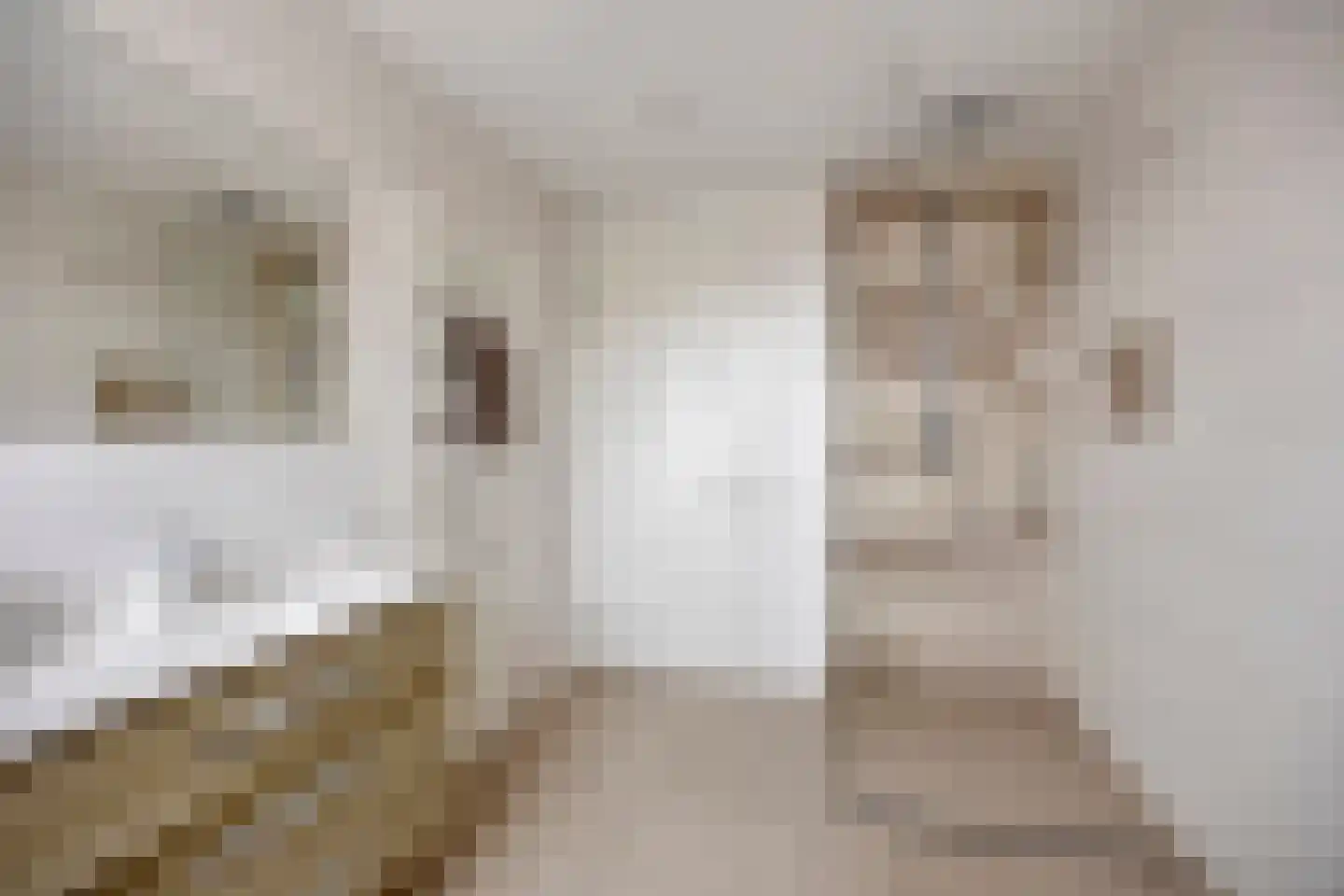 Kerkstraat 10 Landsmeer thumbnail 38
