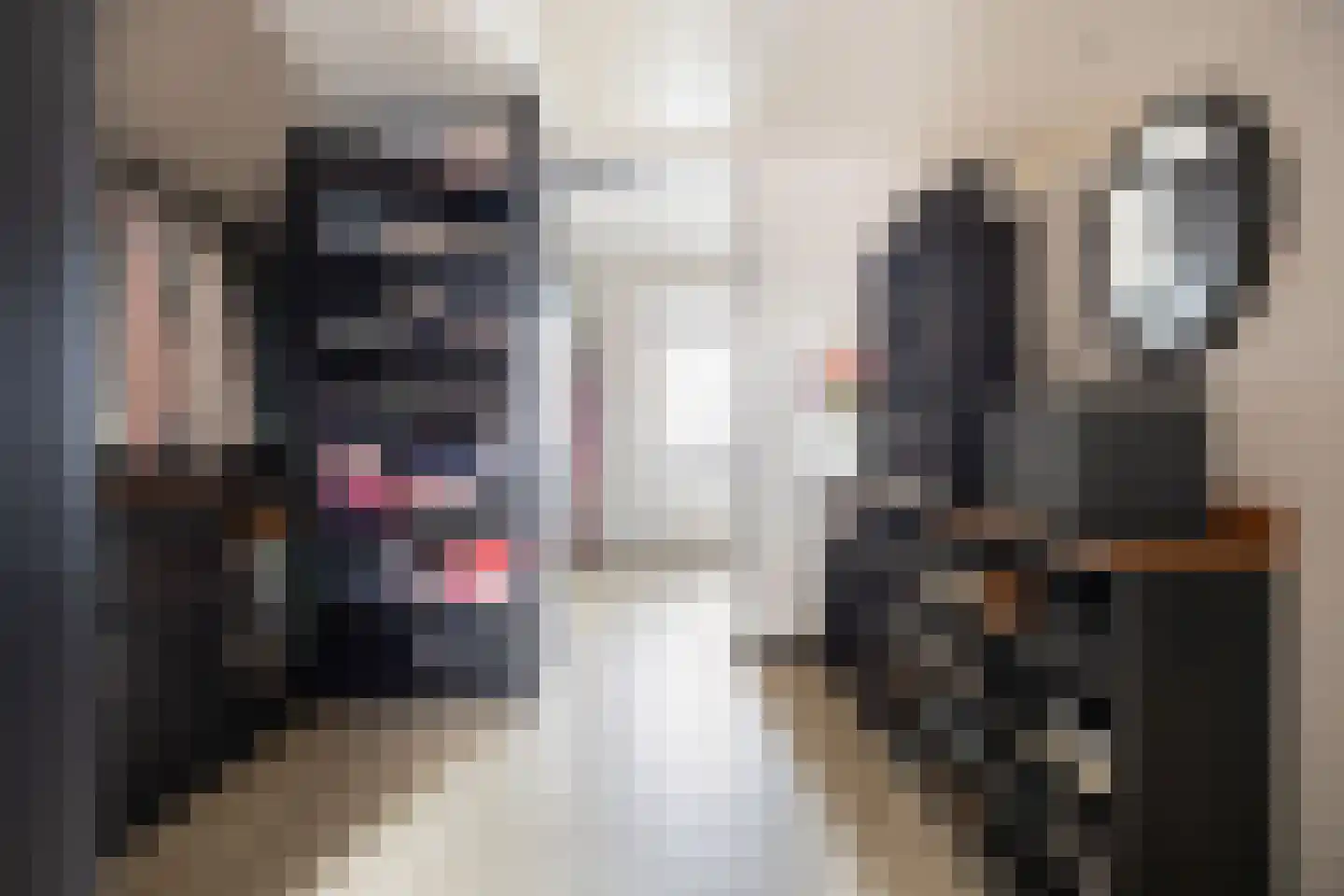 Kerkstraat 10 Landsmeer thumbnail 48