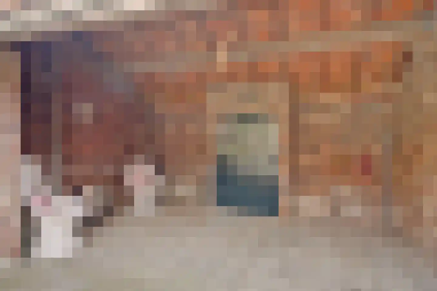 Kerkstraat 10 Maasbracht thumbnail 54
