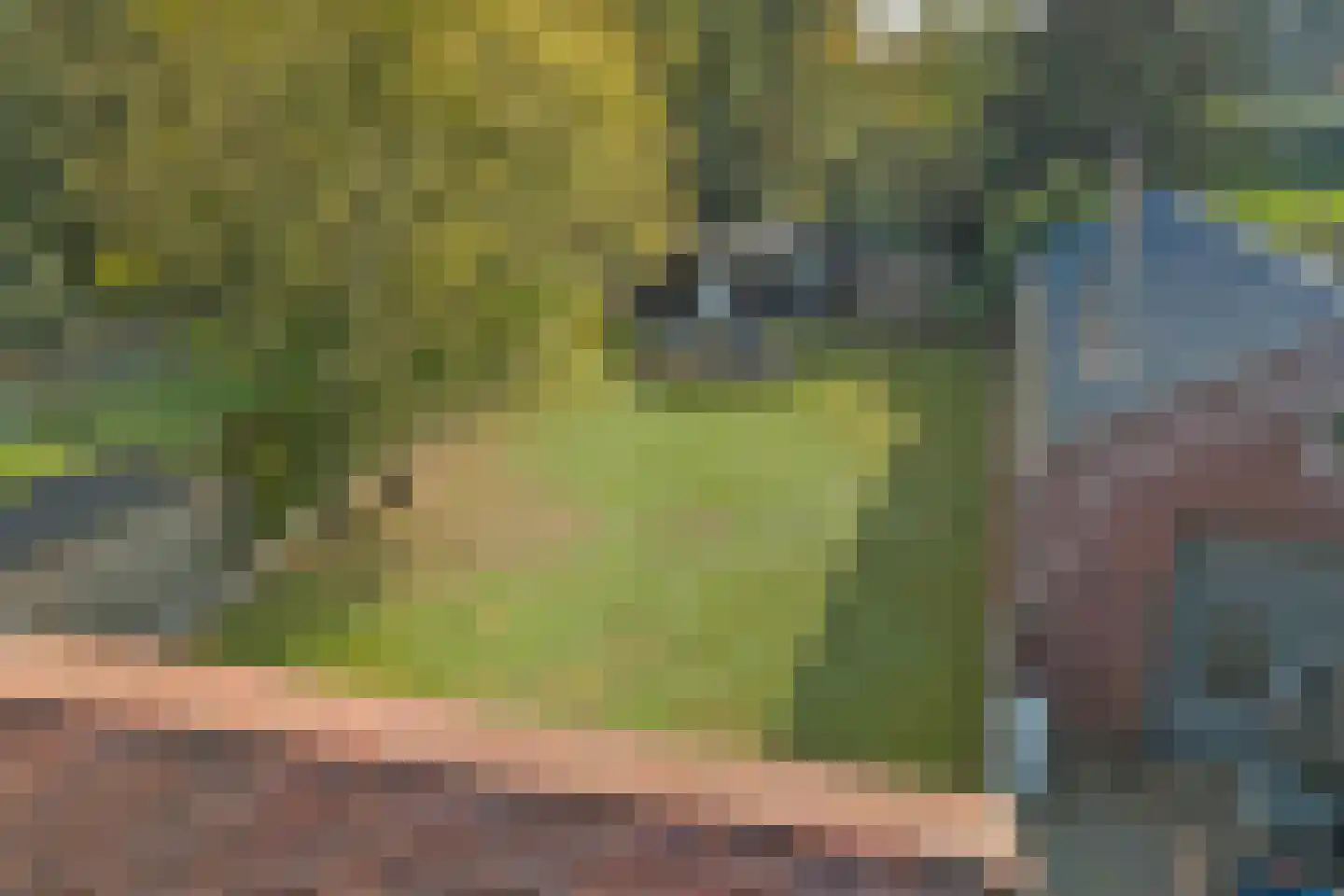 Kerkstraat 10 Maasbracht thumbnail 61