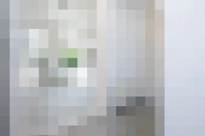 Kerkstraat 10 Stad aan 't Haringvliet thumbnail 7