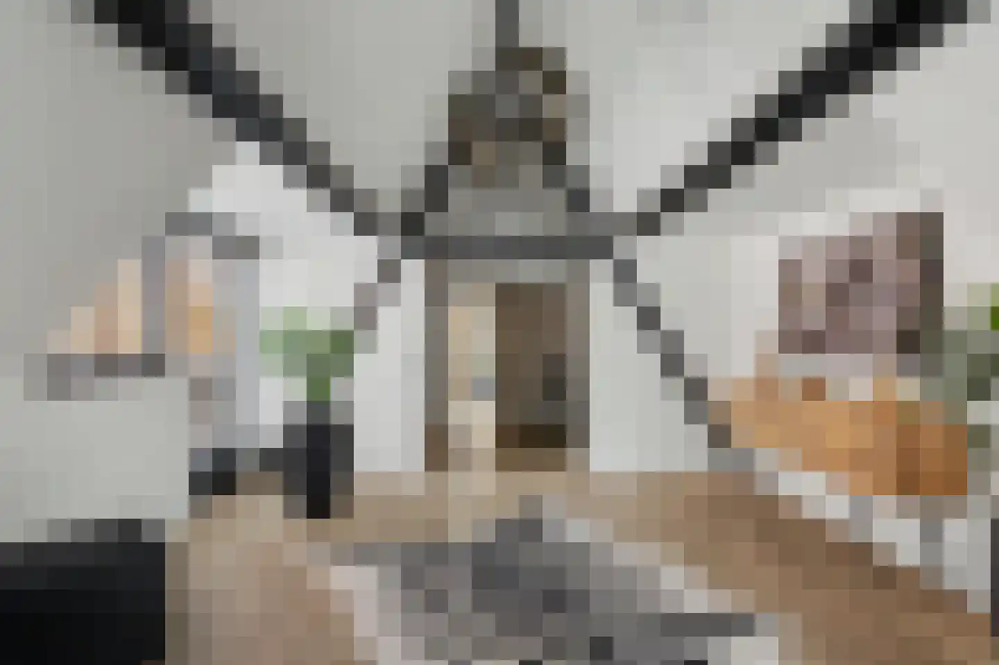 Kerkstraat 10 Strijen thumbnail 39