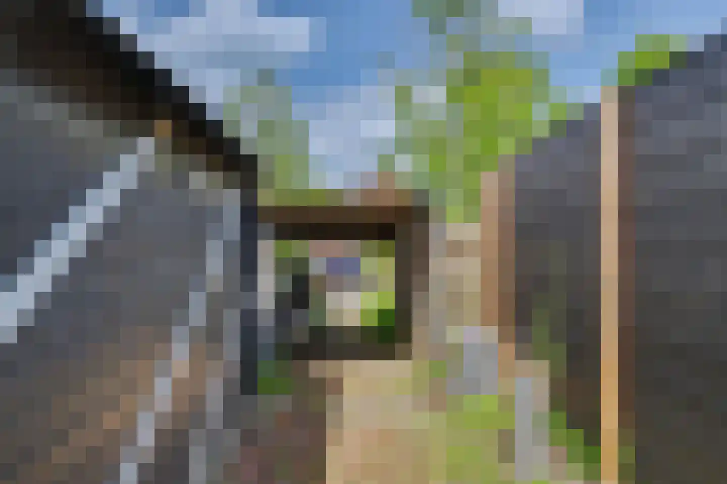 Kerkstraat 10 Strijen thumbnail 57