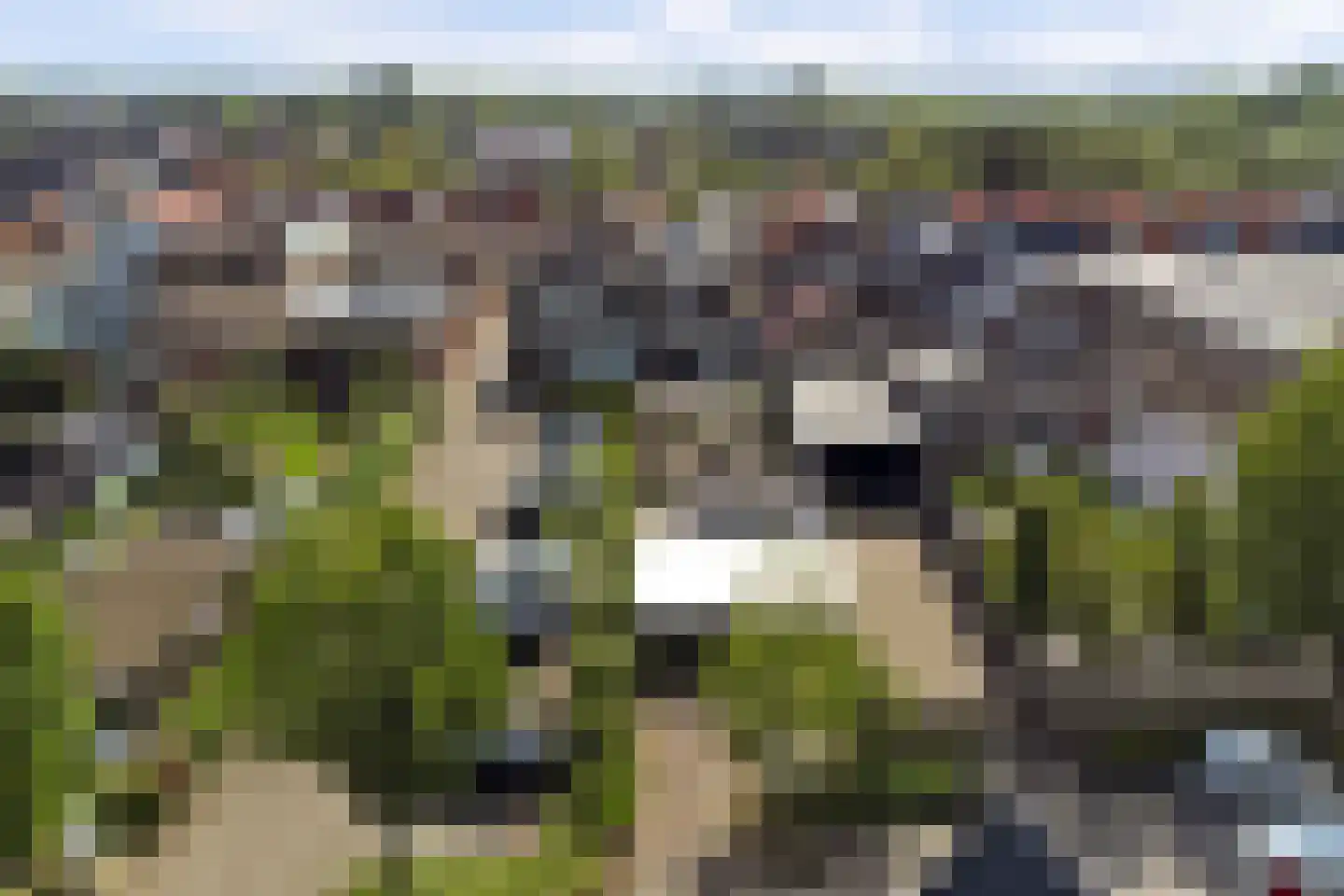 Kerkstraat 10 Strijen thumbnail 64