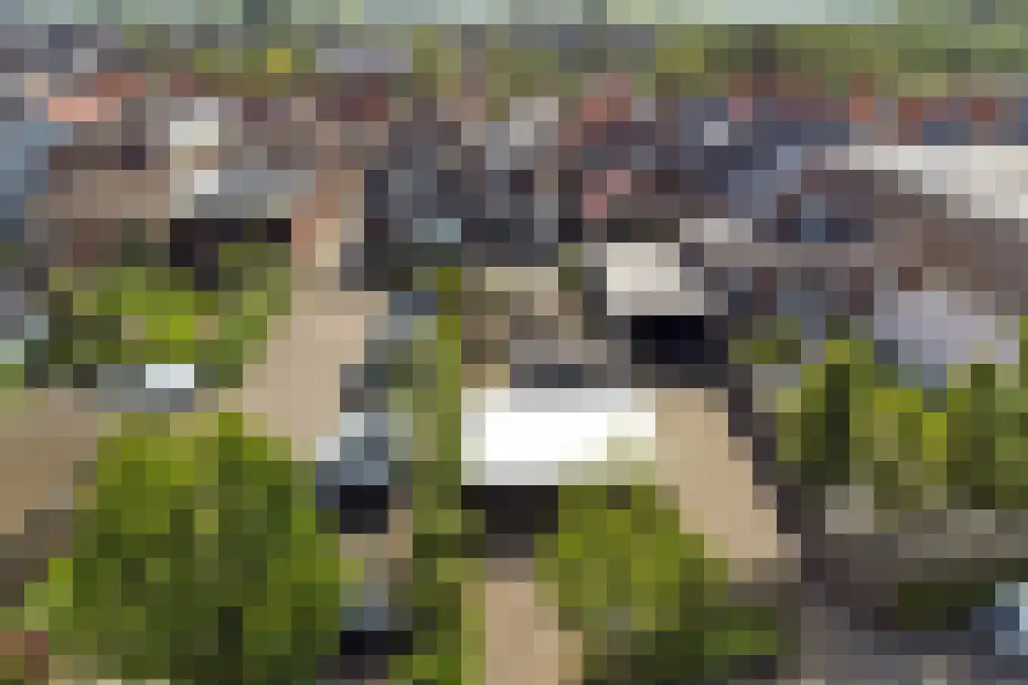 Kerkstraat 10 Strijen thumbnail 66