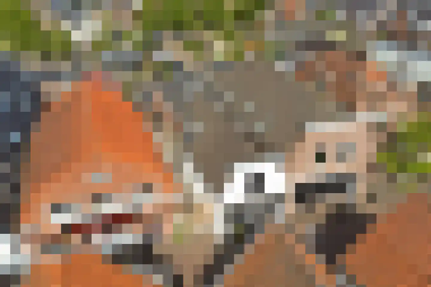 Kerkstraat 10 Strijen thumbnail 70