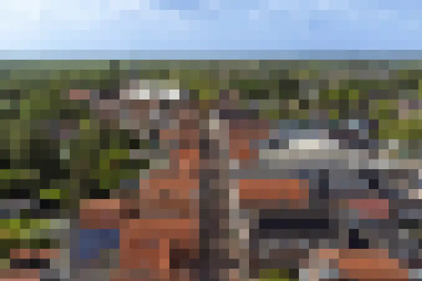 Kerkstraat 10 Strijen thumbnail 73