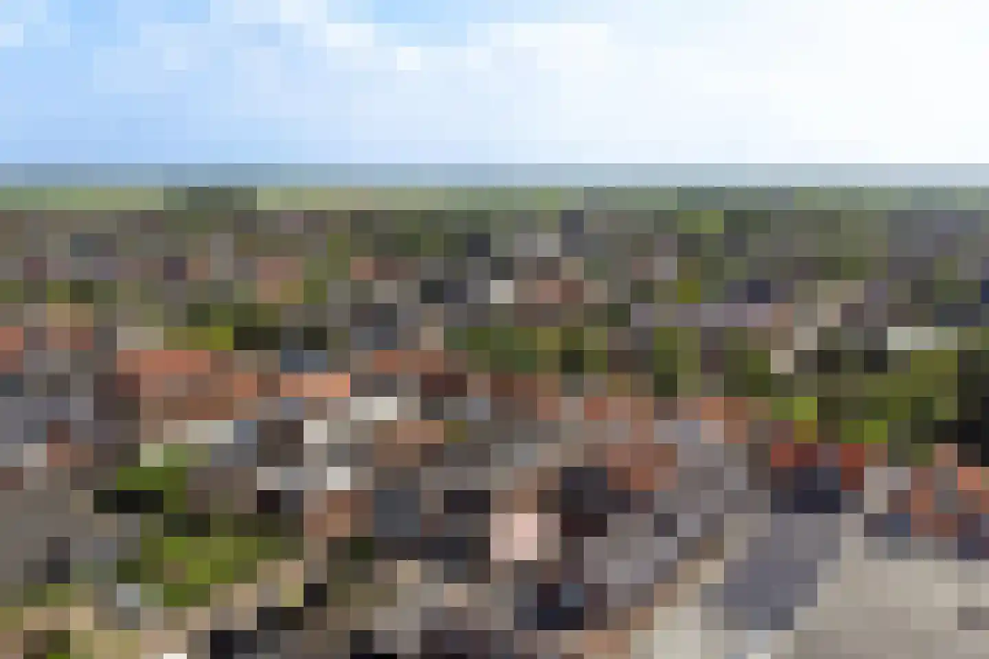 Kerkstraat 10 Strijen thumbnail 76