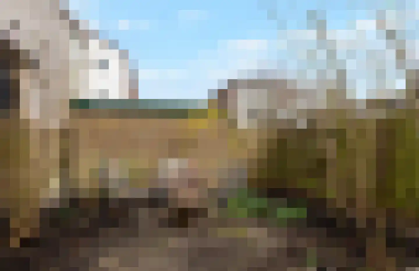 Kerkstraat 101 b Bodegraven thumbnail 17