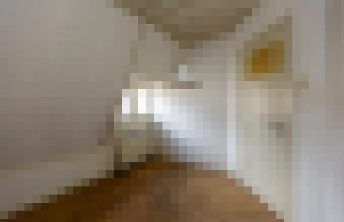 Kerkstraat 101 b Bodegraven thumbnail 27