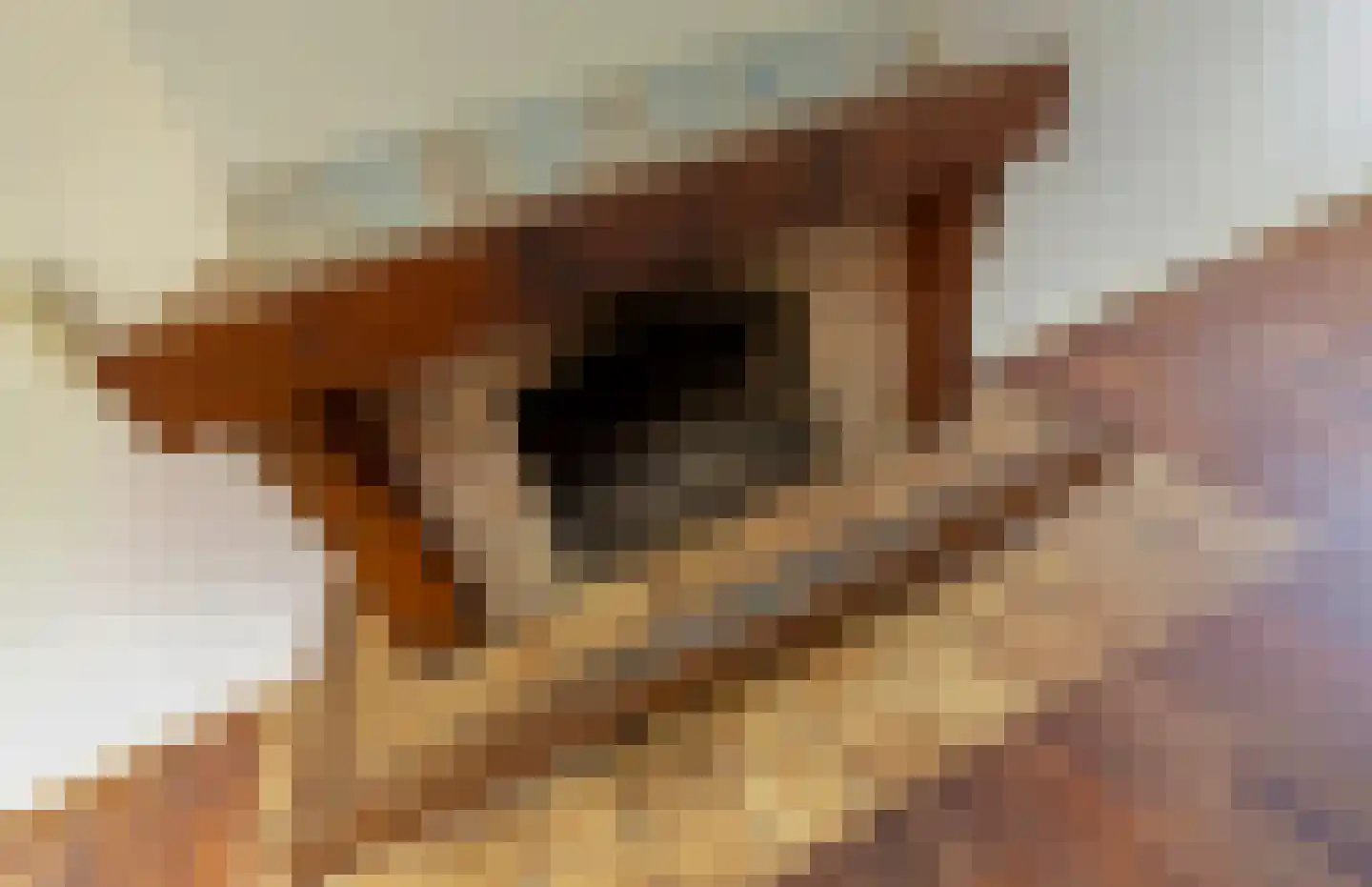Kerkstraat 101 b Bodegraven thumbnail 8