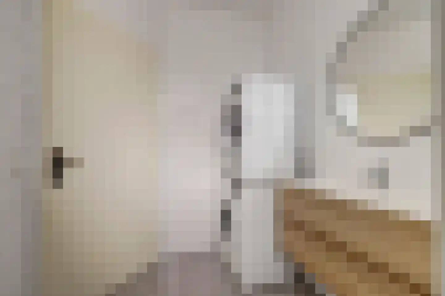 Kerkstraat 101 e Bodegraven thumbnail 23
