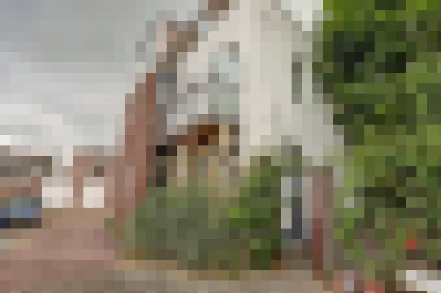 Kerkstraat 101 e Bodegraven thumbnail 26