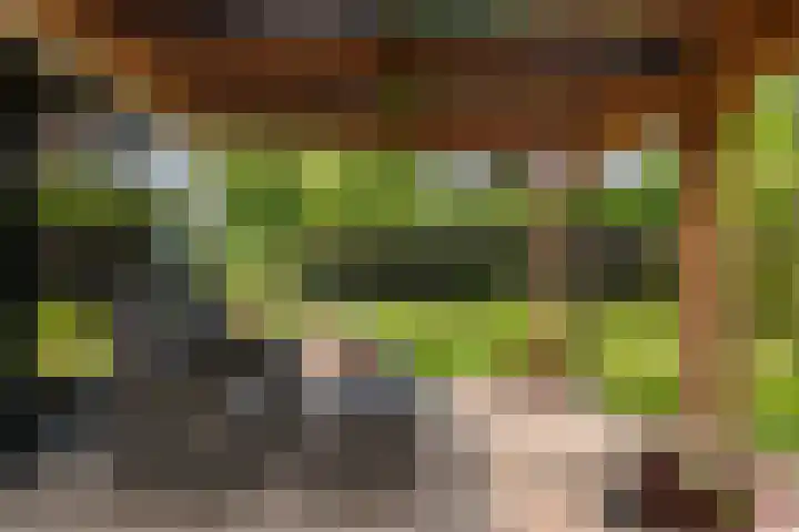 Kerkstraat 101 Goor thumbnail 13