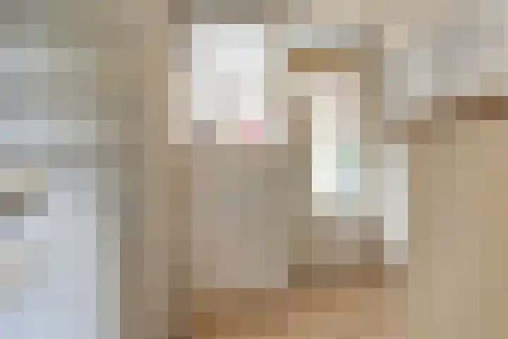Kerkstraat 101 Goor thumbnail 15