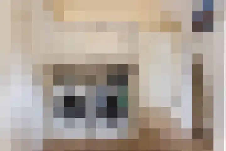 Kerkstraat 101 Goor thumbnail 16