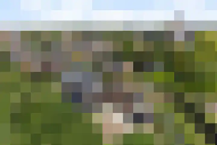 Kerkstraat 101 Goor thumbnail 5