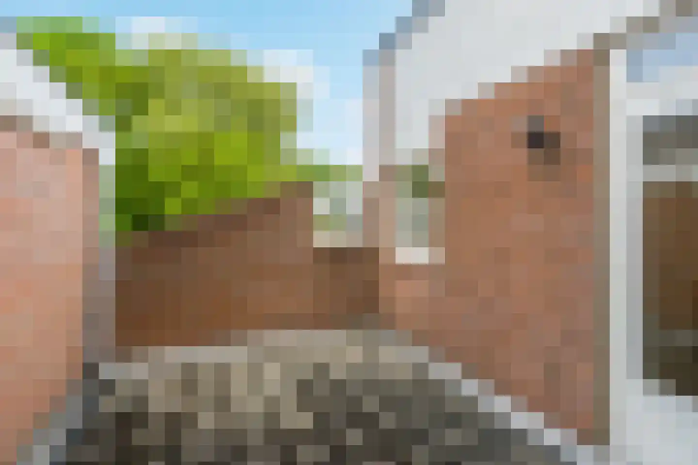 Kerkstraat 101 Noordwijkerhout thumbnail 26