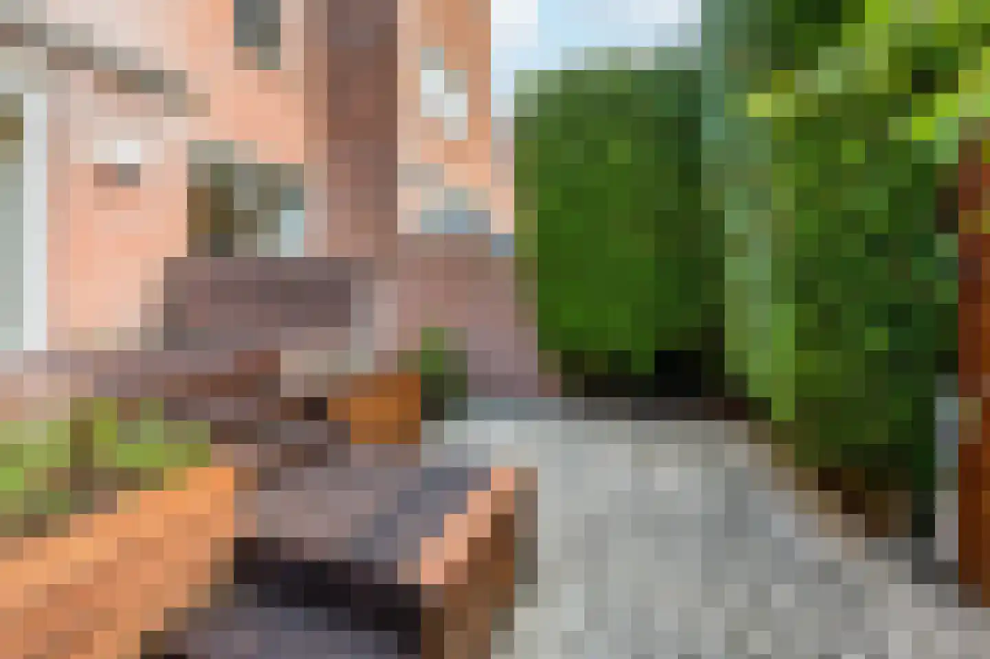 Kerkstraat 101 Noordwijkerhout thumbnail 42