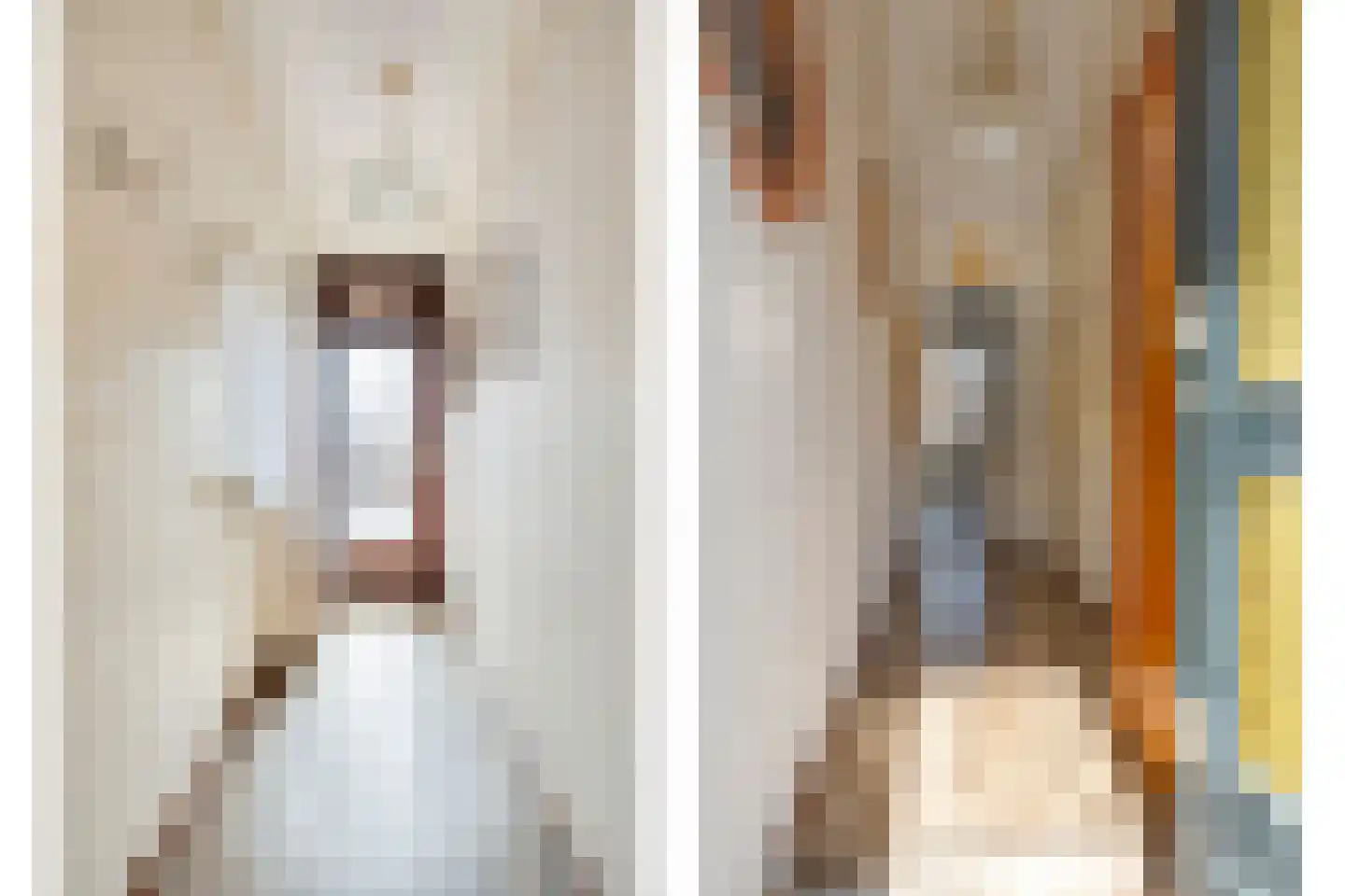 Kerkstraat 102 Goor thumbnail 10