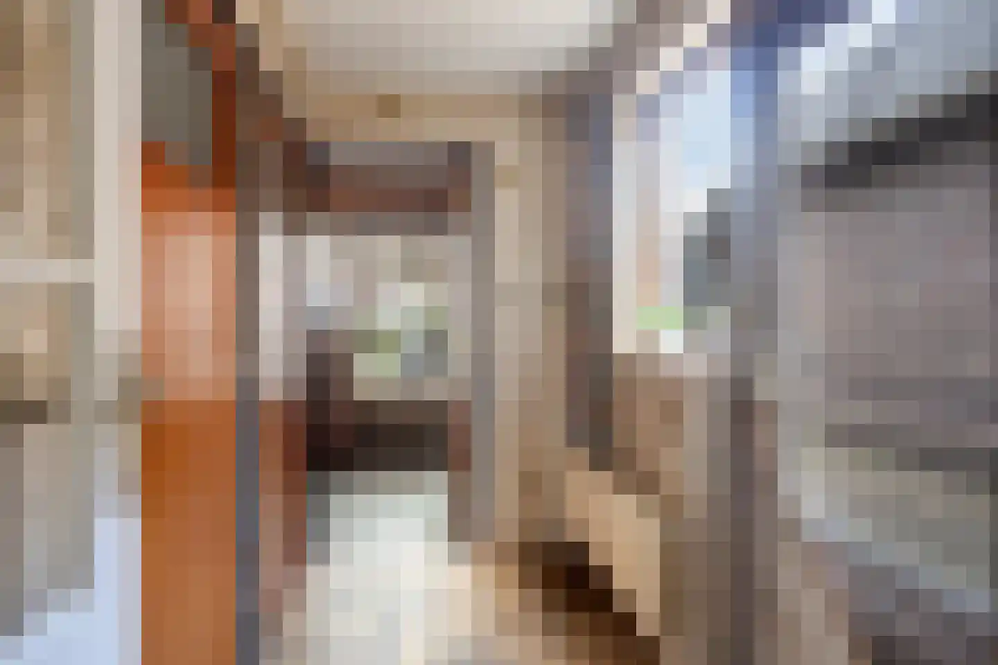 Kerkstraat 102 Goor thumbnail 17