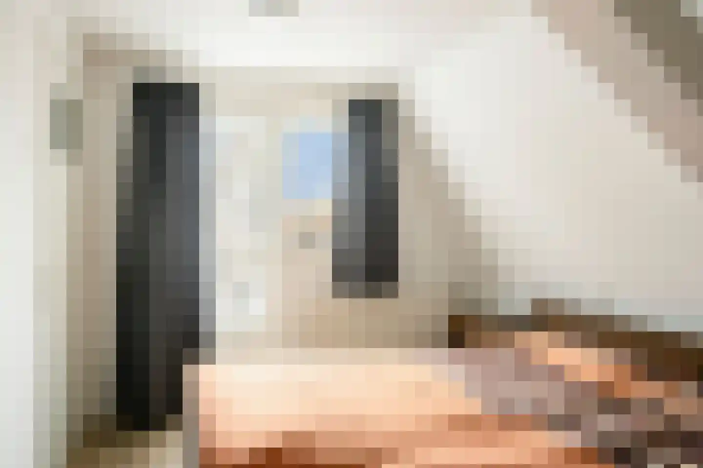 Kerkstraat 102 Goor thumbnail 24