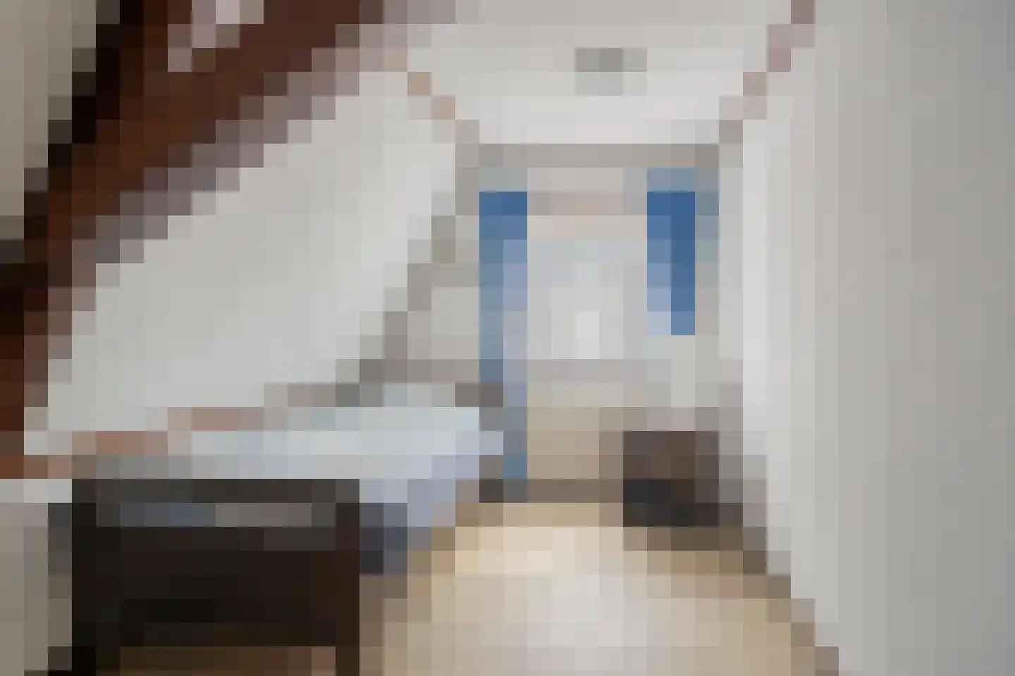 Kerkstraat 102 Goor thumbnail 26
