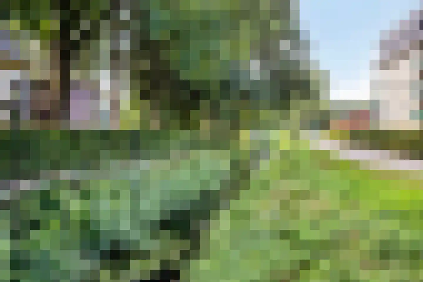 Kerkstraat 102 Goor thumbnail 46