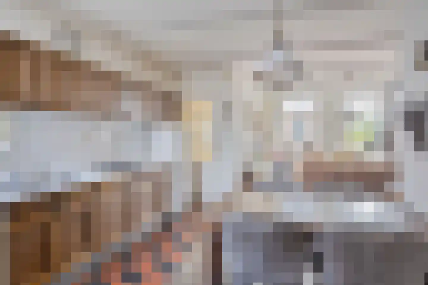 Kerkstraat 102 Goor thumbnail 6