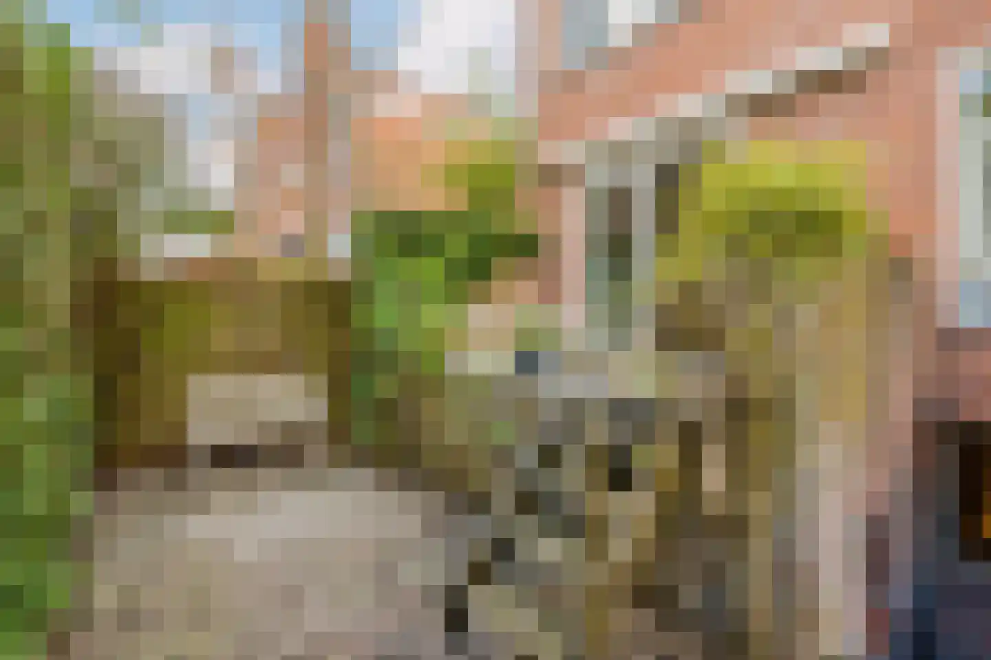 Kerkstraat 103 A Noordwijkerhout thumbnail 39