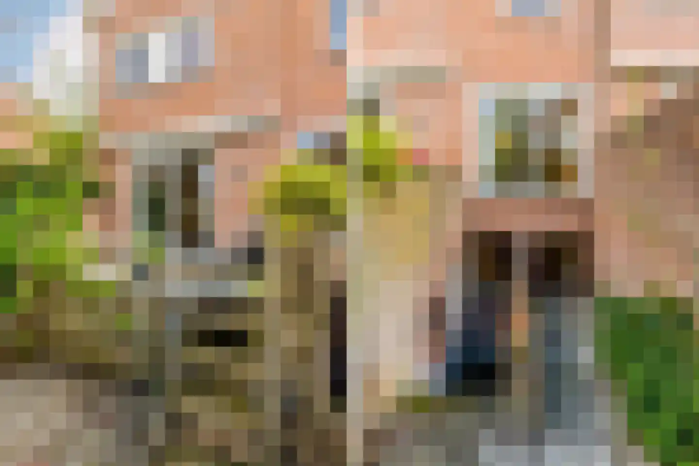 Kerkstraat 103 A Noordwijkerhout thumbnail 46
