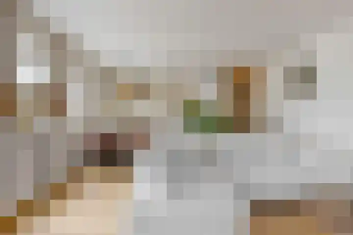 Kerkstraat 103 c Bodegraven