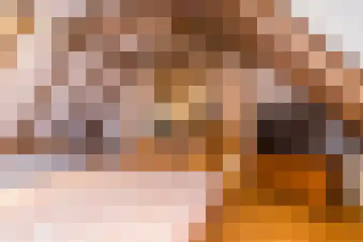 Kerkstraat 108 Doenrade thumbnail 22
