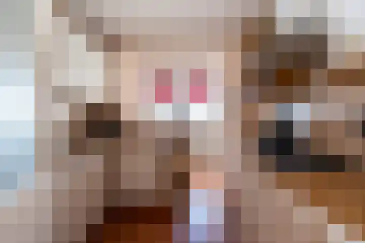 Kerkstraat 108 Muntendam thumbnail 12