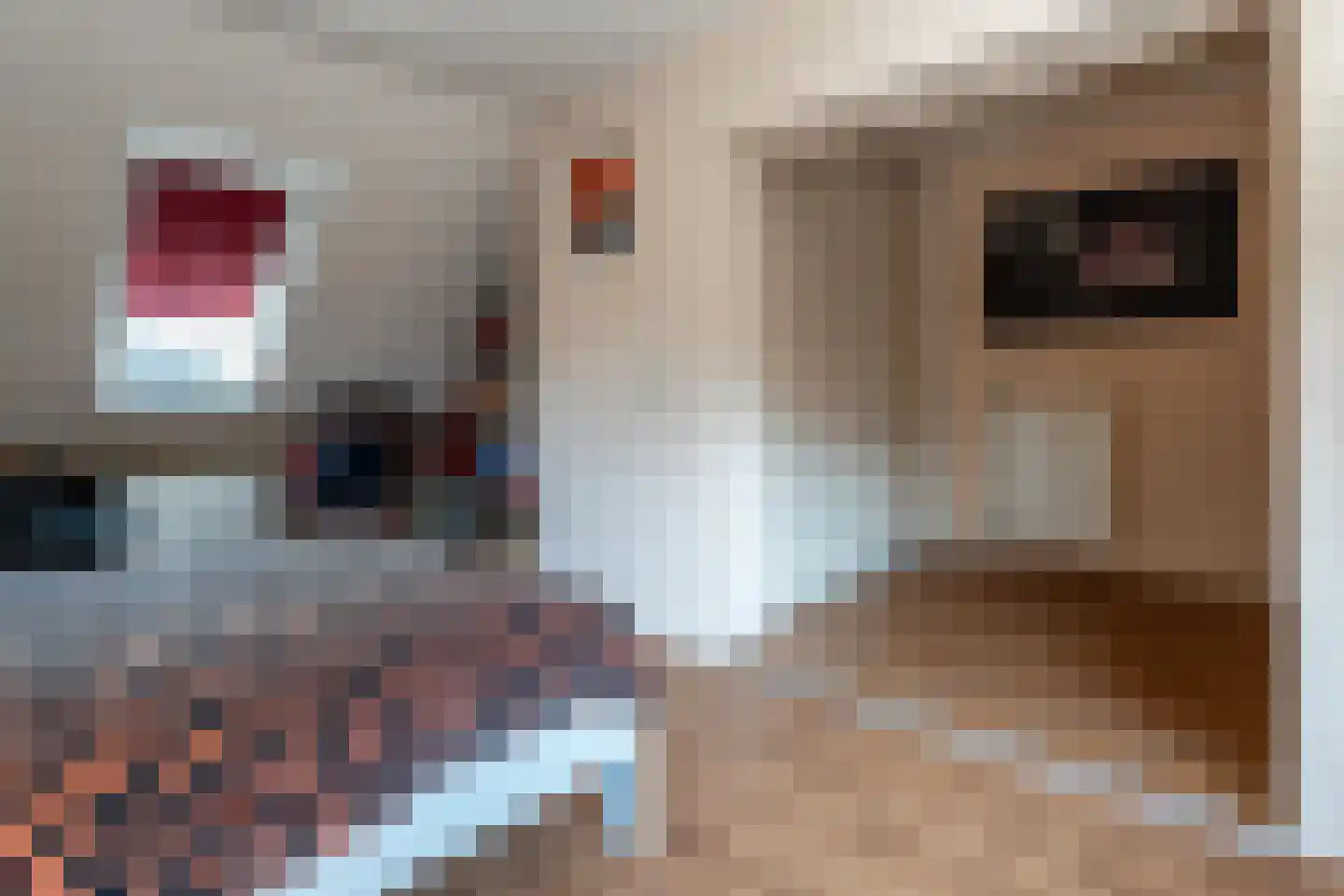 Kerkstraat 108 Muntendam thumbnail 18