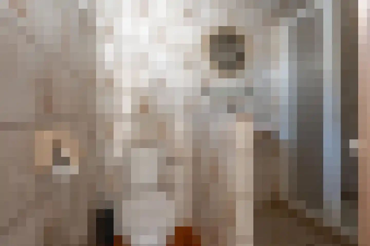 Kerkstraat 108 Muntendam thumbnail 20