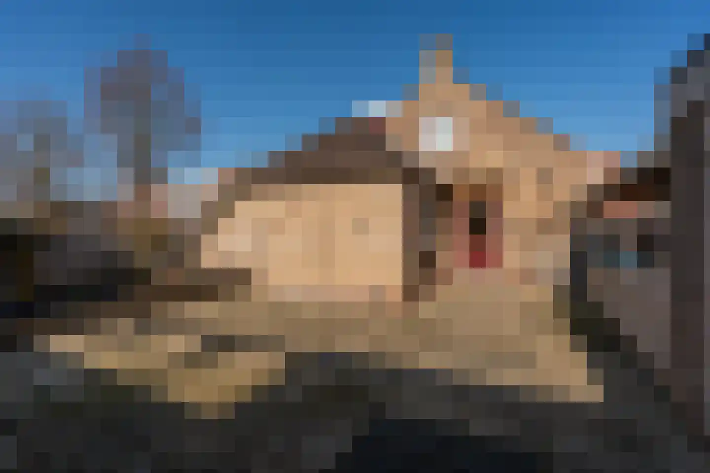 Kerkstraat 108 Muntendam thumbnail 31