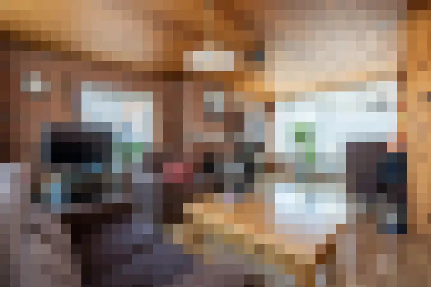 Kerkstraat 108 Muntendam thumbnail 6