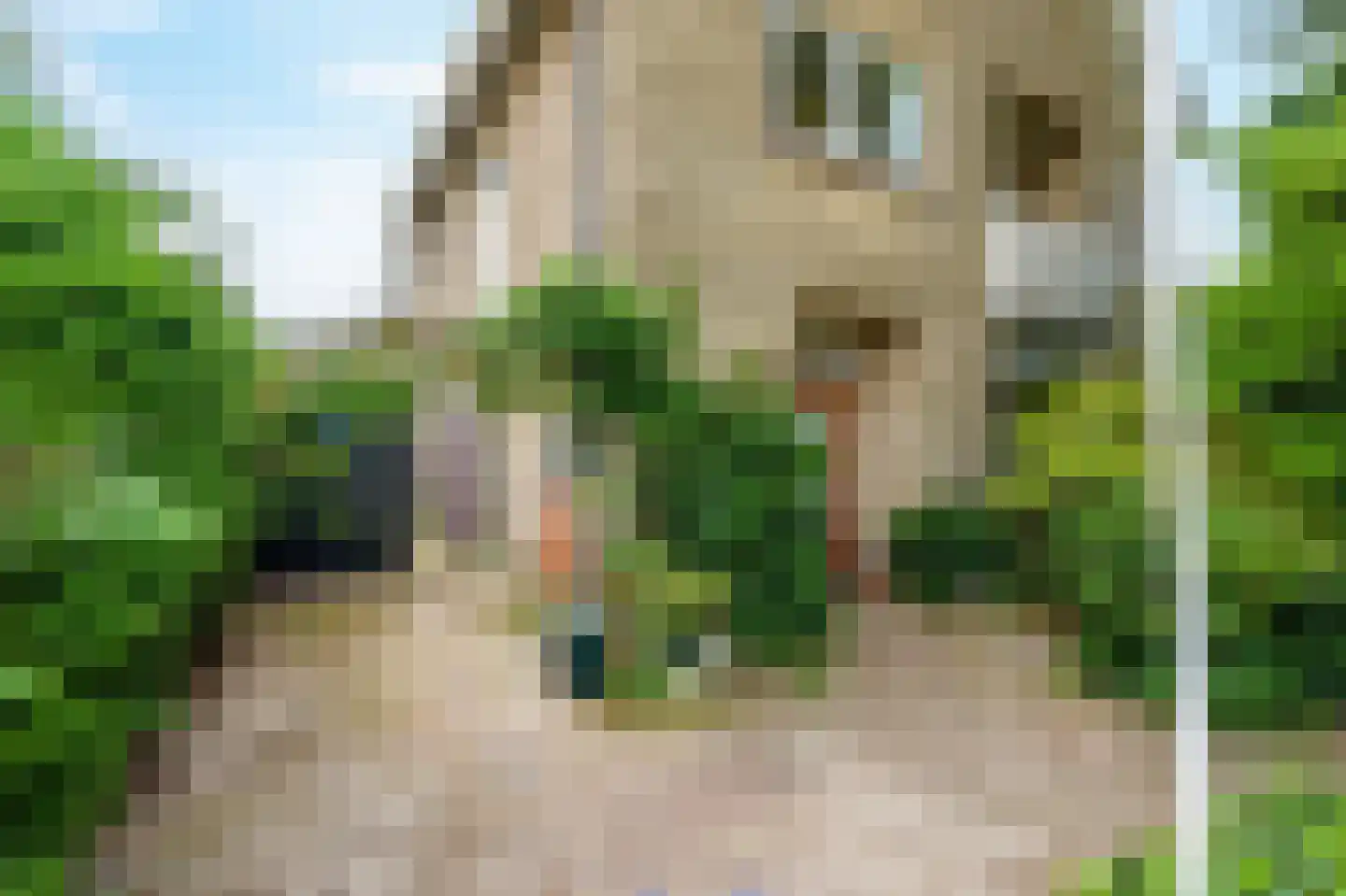 Kerkstraat 109 Noordwijkerhout thumbnail 6
