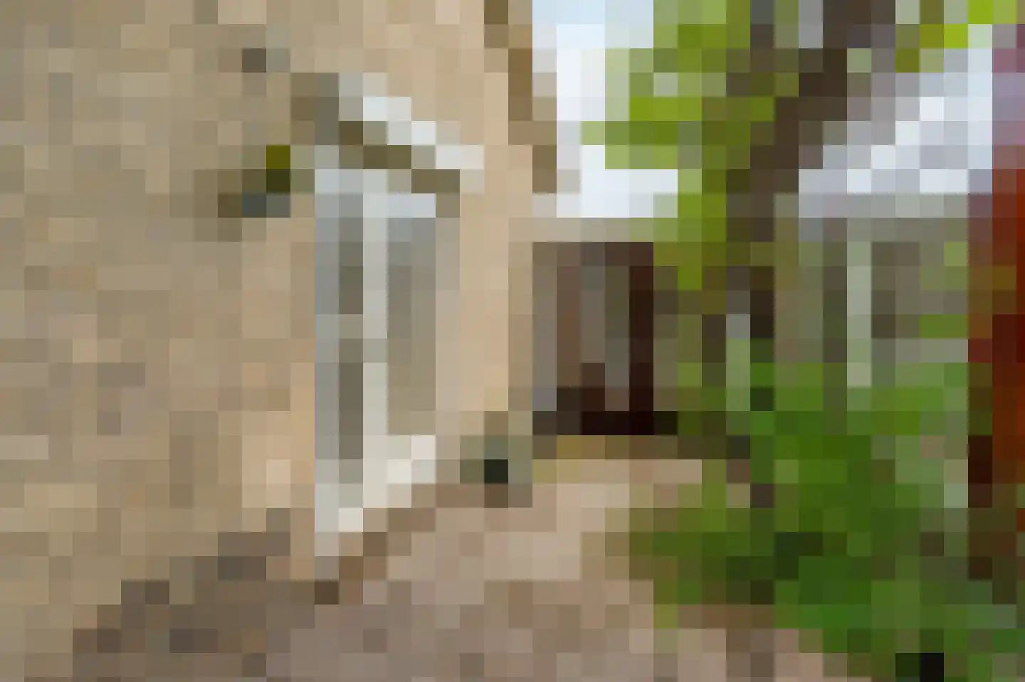 Kerkstraat 109 Noordwijkerhout thumbnail 61