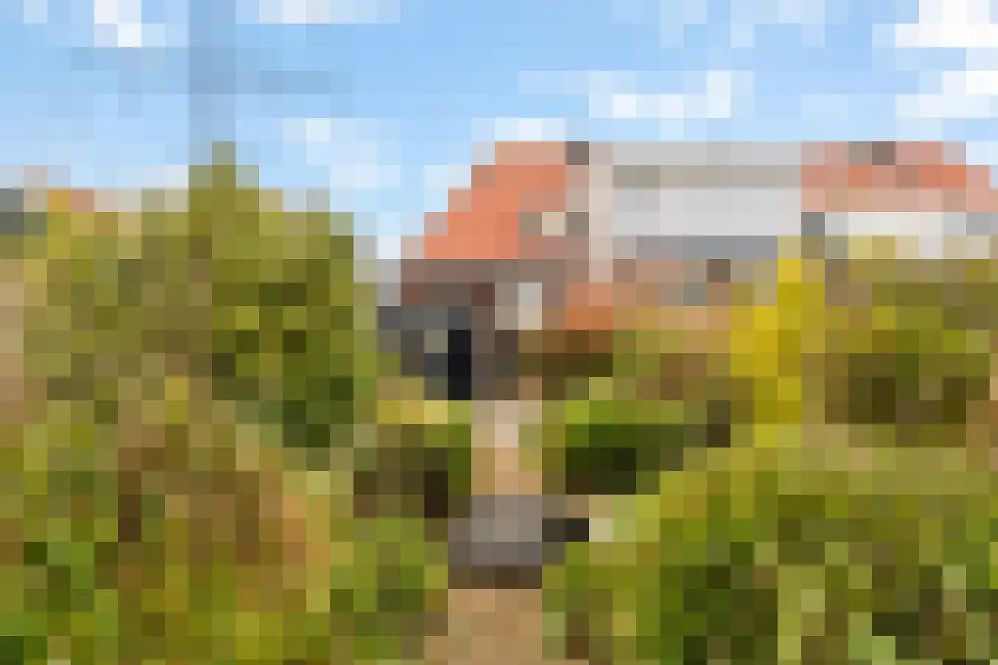 Kerkstraat 109 Oostzaan thumbnail 36