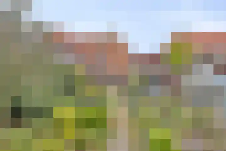 Kerkstraat 11 in Heesch