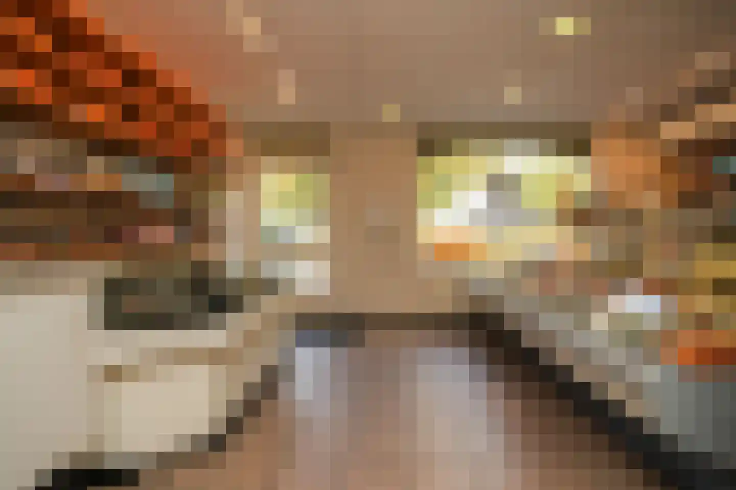 Kerkstraat 11 Ammerzoden thumbnail 32