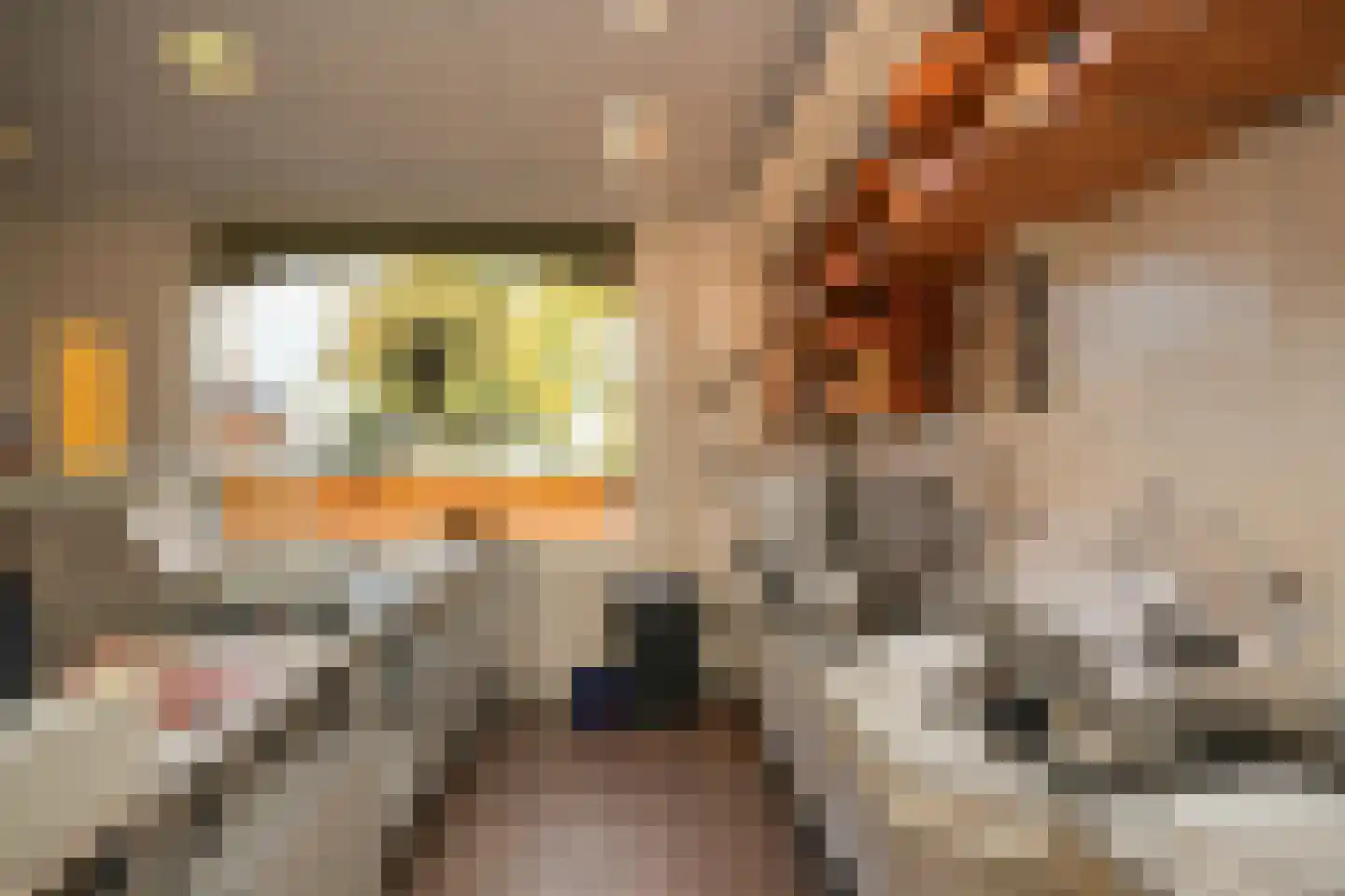 Kerkstraat 11 Ammerzoden thumbnail 33