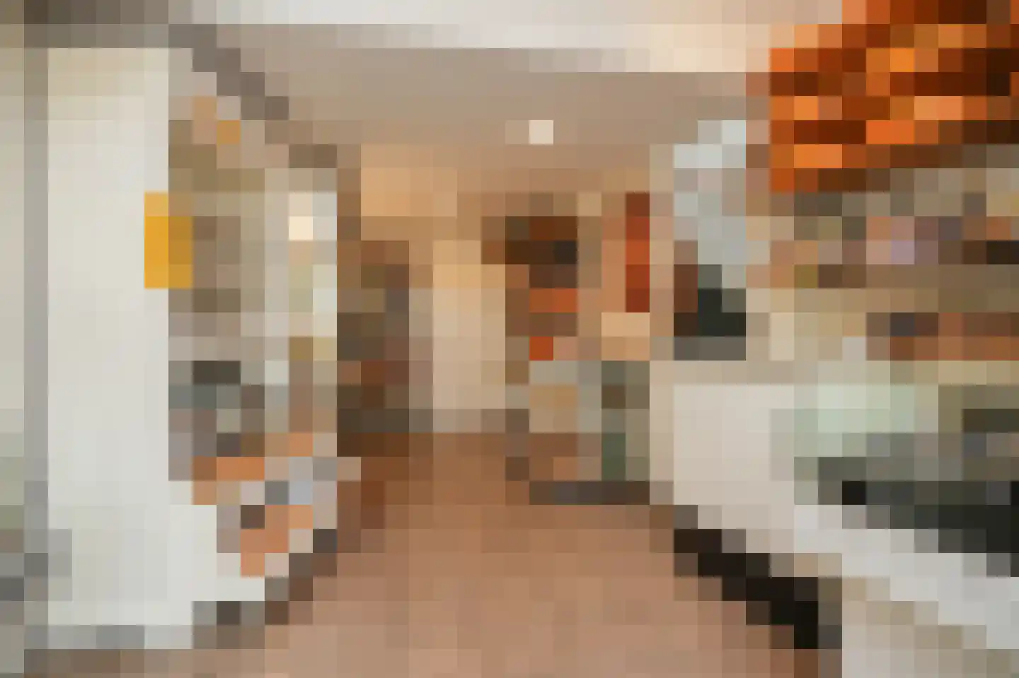 Kerkstraat 11 Ammerzoden thumbnail 35