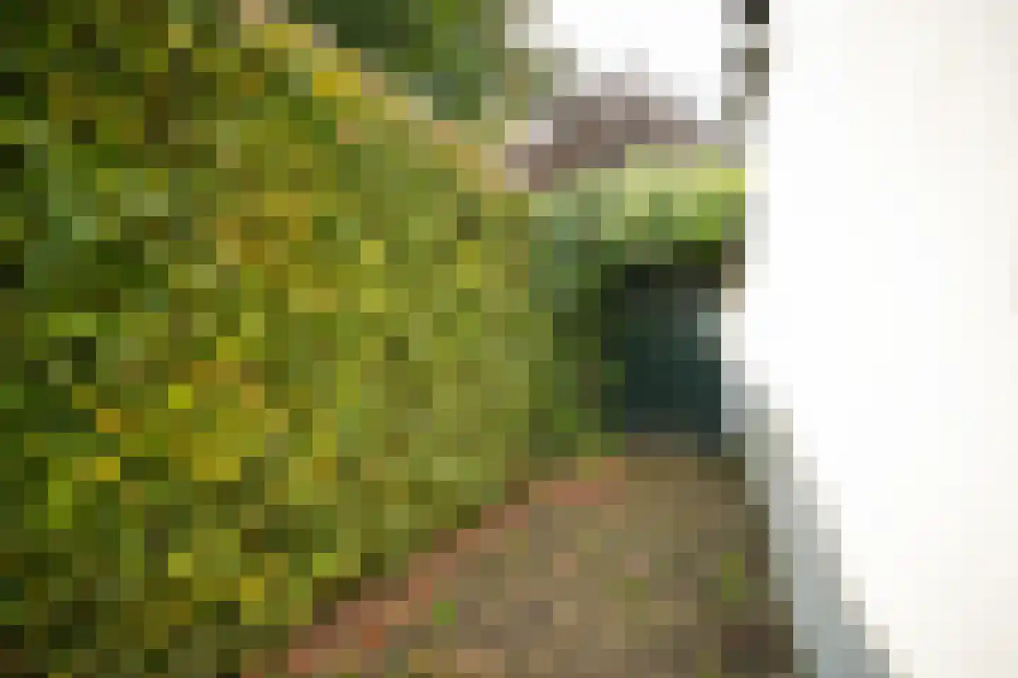 Kerkstraat 11 Ammerzoden thumbnail 50