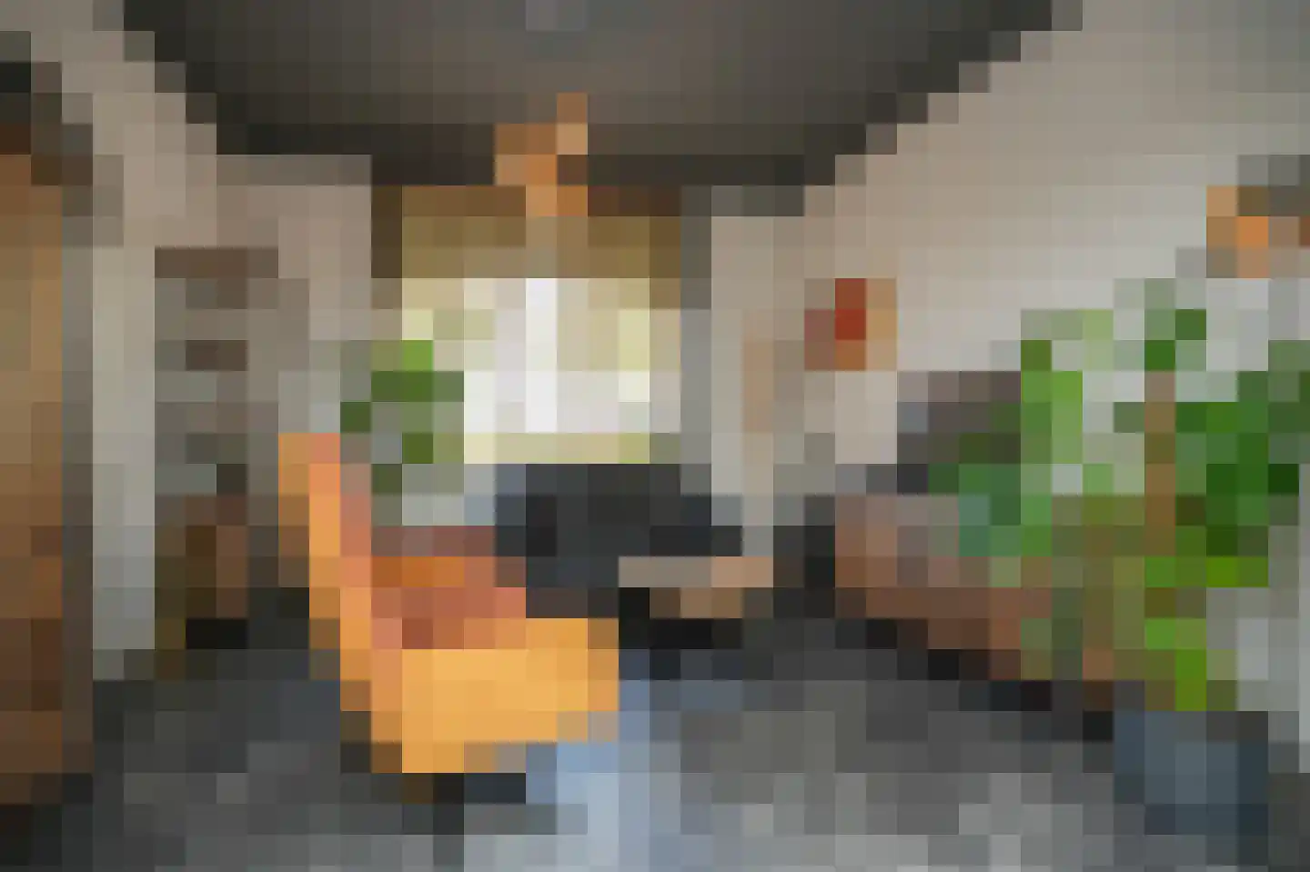 Kerkstraat 11 Ammerzoden thumbnail 8