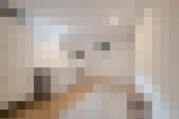 Kerkstraat 11 Bavel thumbnail 15